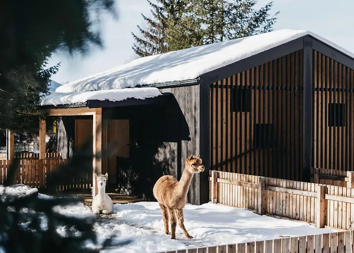 Haven Mountain RetreatFerienwohnung